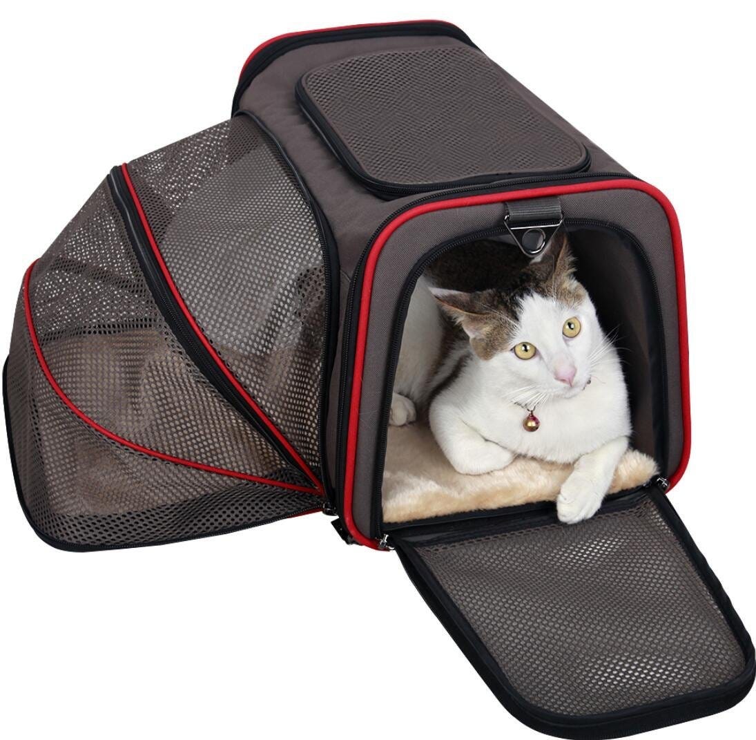 Cat Travel Part II: Finding the Right Cat Carrier | Litter-Robot Blog