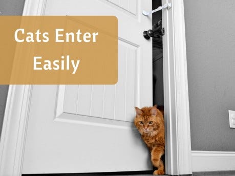 cat proof door