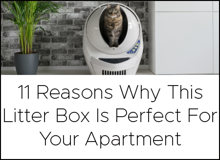 Where To Put The Litter Box In A Small House Or Apartment