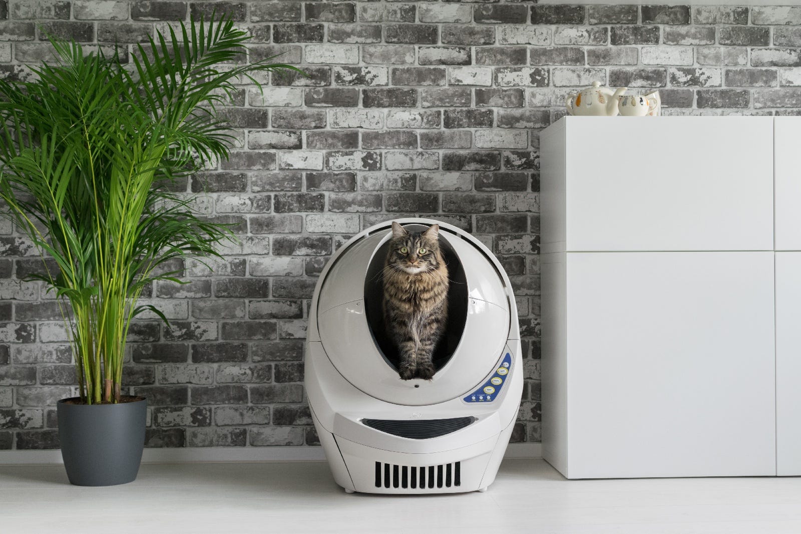 litter robot keeps getting stuck