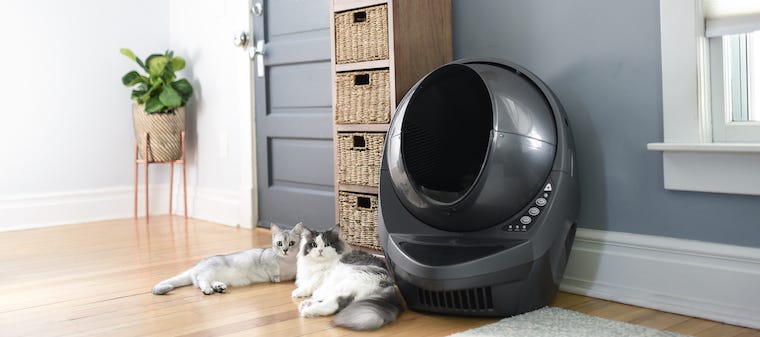 best gifts for cat lovers