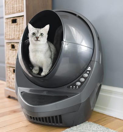 18 Best Gifts for Cat Lovers (\u0026 Cats 