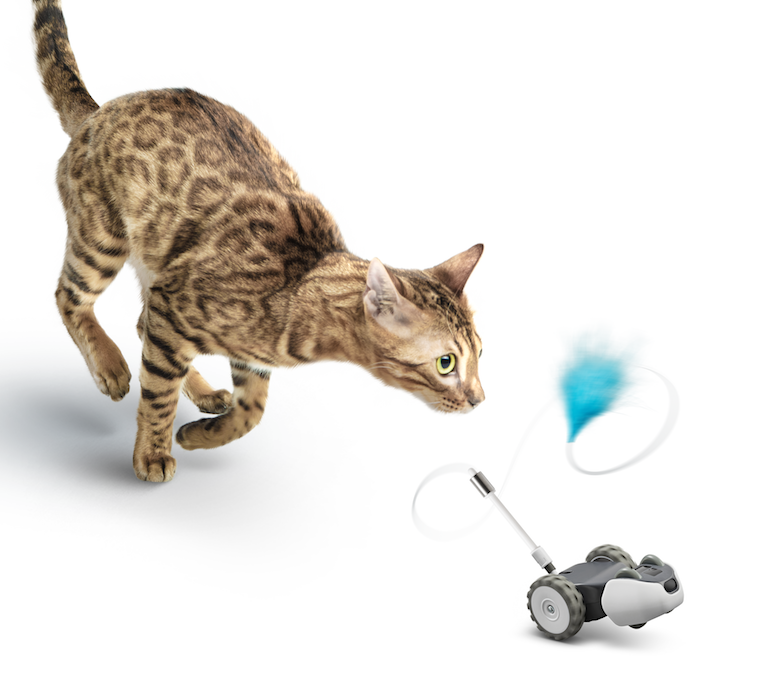 mousr robotic cat toy