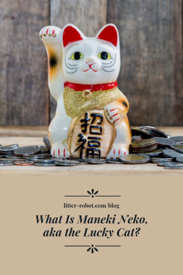 What Is Maneki Neko, aka the Lucky Cat 