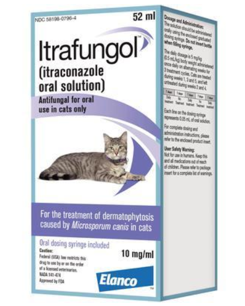 how to cure ringworm infection in cats
