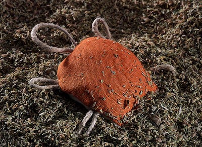 orange hemp turtle cat toy in catnip