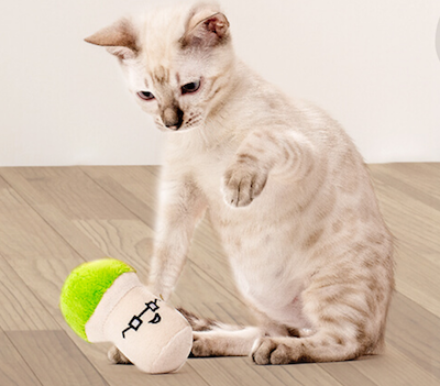 silver bengal cat playing with mushroom plush krinkle cat toy