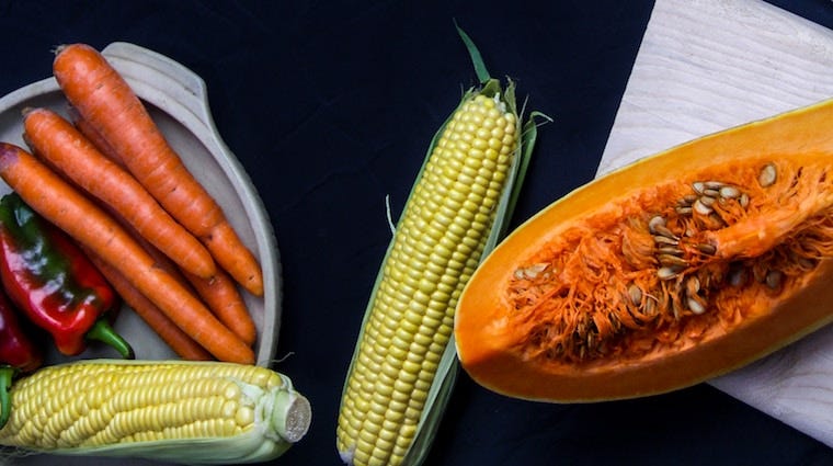 squash, carrots, corn on the cob