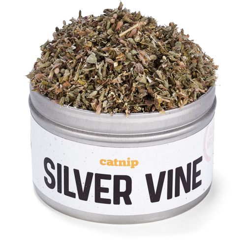 silver vine spray