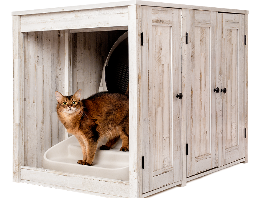 Litter box furniture credenza with Abyssinian cat standing on beige Litter-Robot ramp