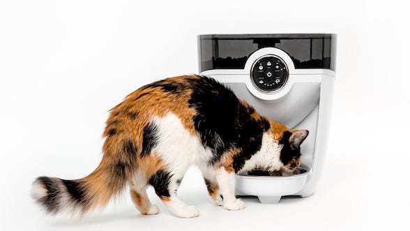 cat feeder robot