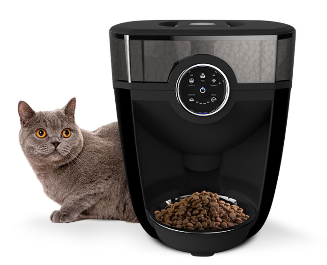 Is Your Cat Overeating? Try an Automatic Cat Feeder | Litter-Robot Blog