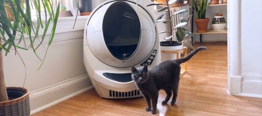 do-self-cleaning-litter-boxes-really-work-best-cat-breeds