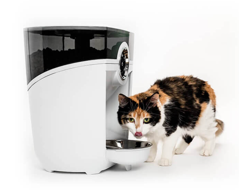 cat feeder robot