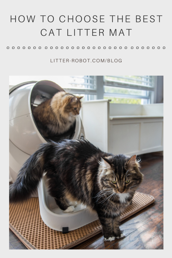 How To Choose The Best Cat Litter Mat Litter Robot Blog