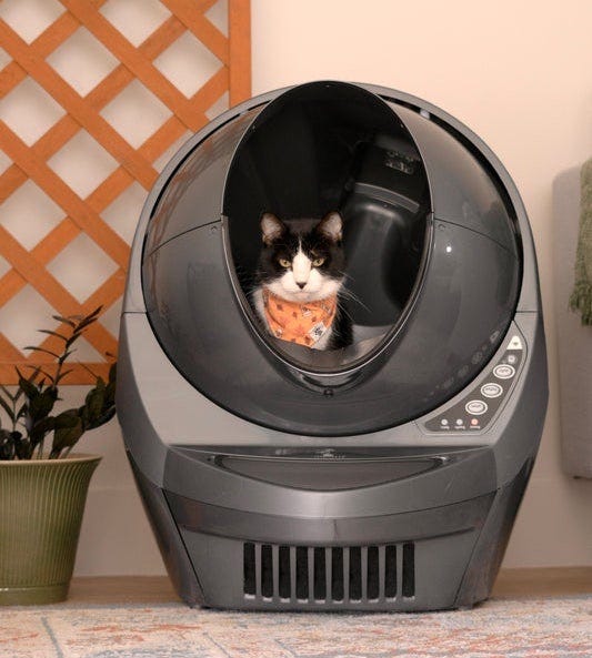 tuxedo cat inside grey Litter-Robot self-cleaning litter box