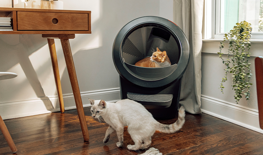 Litter-Robot 3 vs Litter-Robot 4 Comparison Chart | Litter-Robot