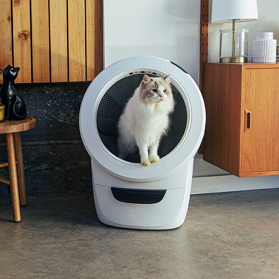 Explore Litter-Robot 4 | Smart Self-Cleaning Litter Box | Litter-Robot