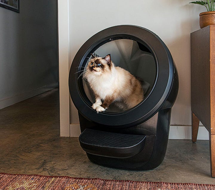 Getting Started with Litter-Robot 4 | Litter-Robot