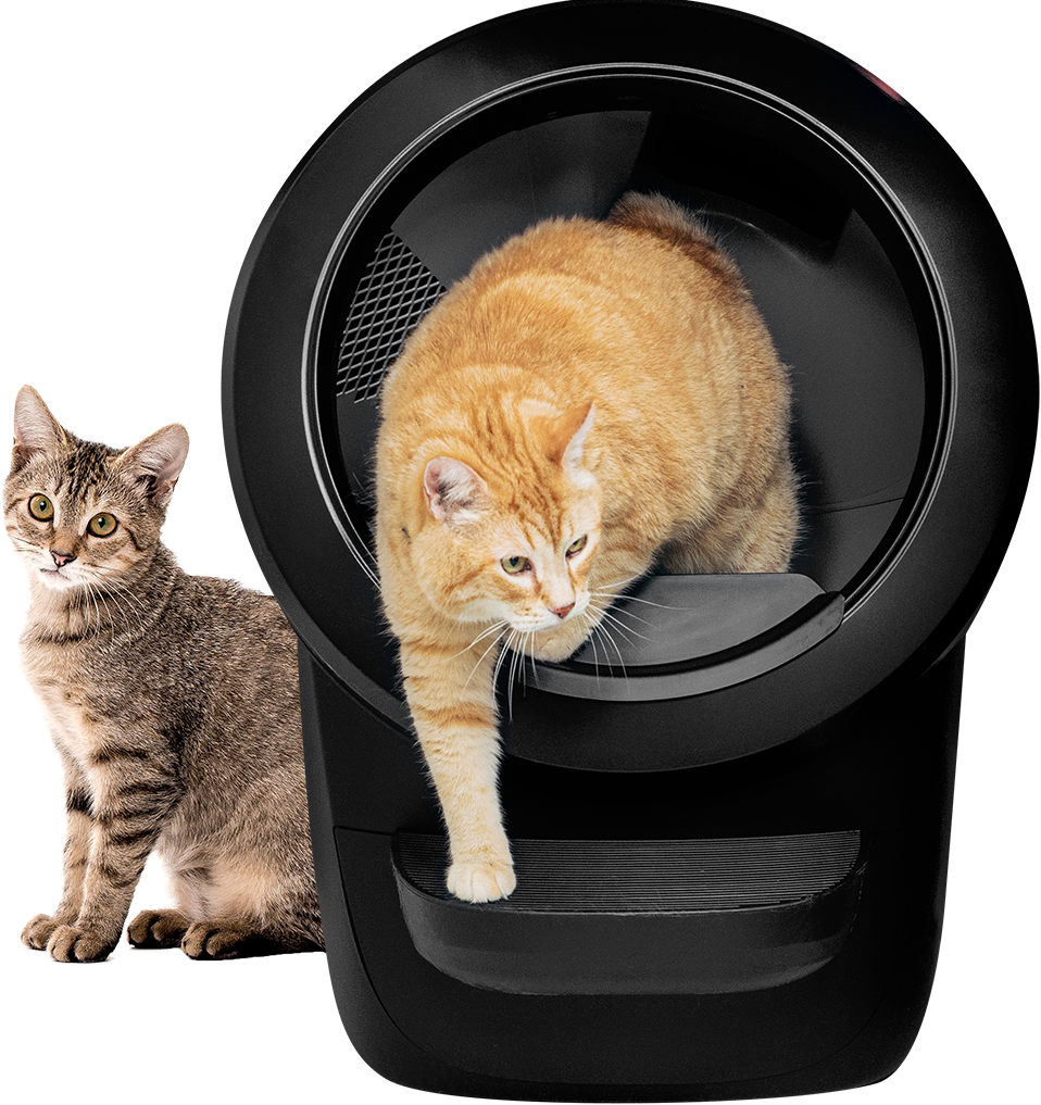 My litter robot sale