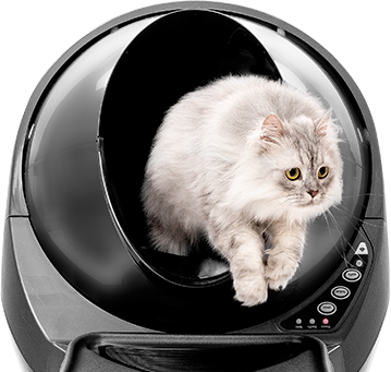 Kitty clearance litter robot