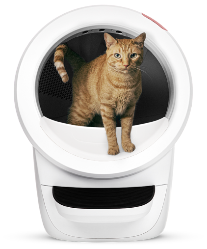 Automatic Self Cleaning Litter Box for Cats Litter Robot Litter Robot