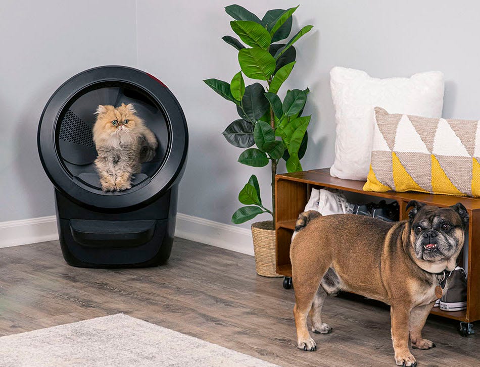 litter robot cycle time