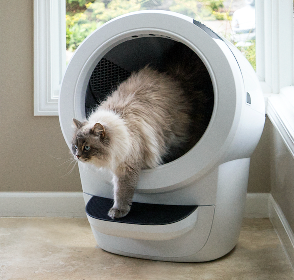 Litter-Robot 4: Automatic, Self-Cleaning Litter Box For