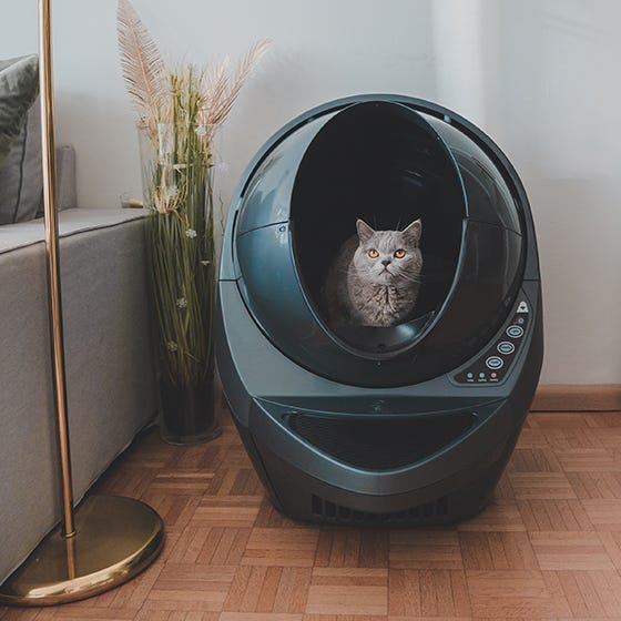 litter robot 3 used for sale