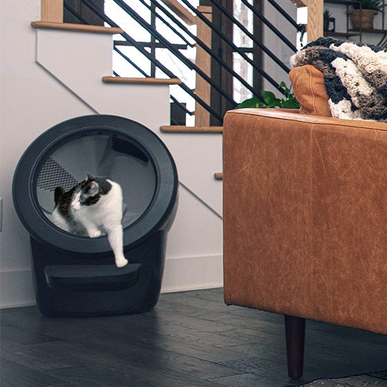 Explore LitterRobot 4 Smart SelfCleaning Litter Box