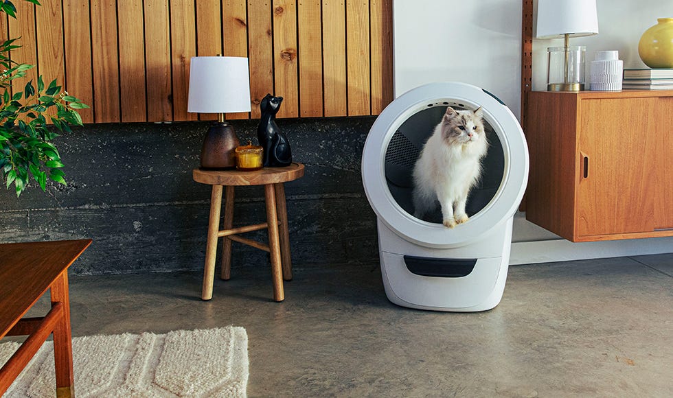 Explore Litter-Robot 4 | Smart Self-Cleaning Litter Box