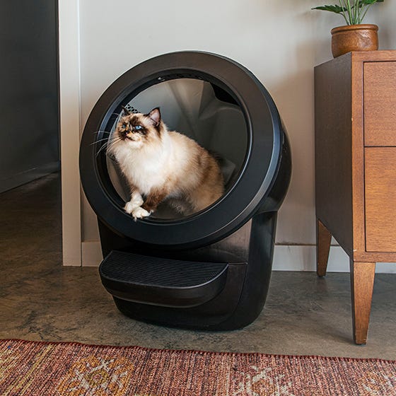 Explore Litter-Robot 4 | Smart Self-Cleaning Litter Box