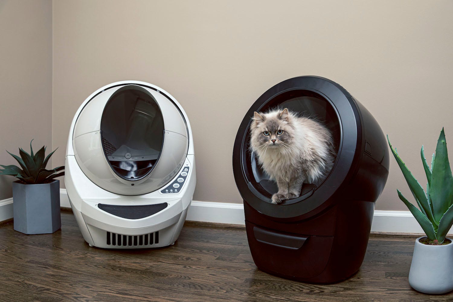 Do Self Cleaning Litter Boxes Really Work Litter Robot