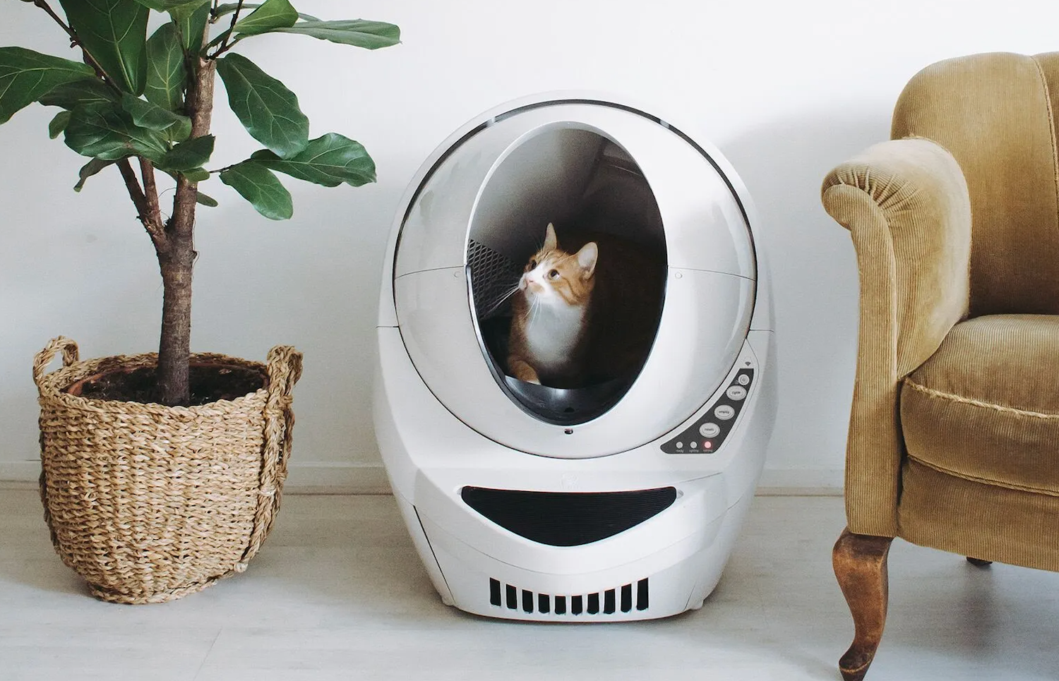 litter robot smells like urine