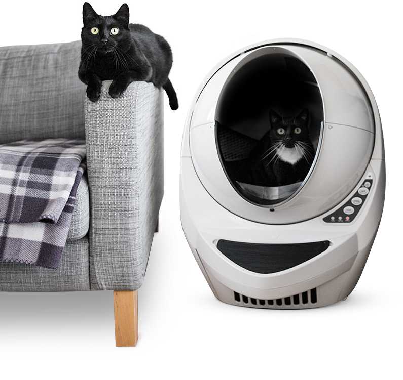 LitterRobot 3 Connect Reconditioned SelfCleaning Litter Box