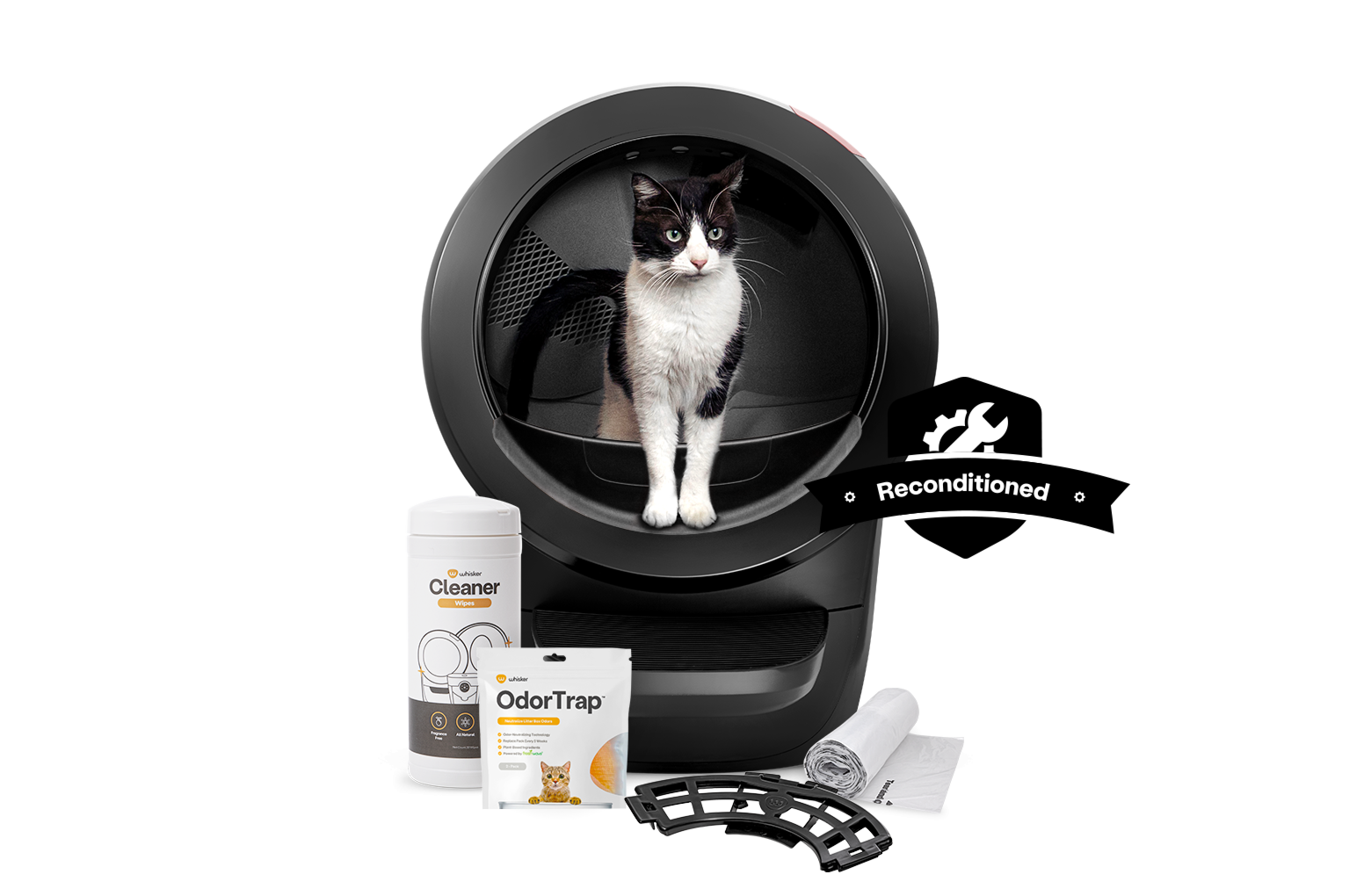 Black and White cat in an Litter-Robot 4-Reconditioned Bundle