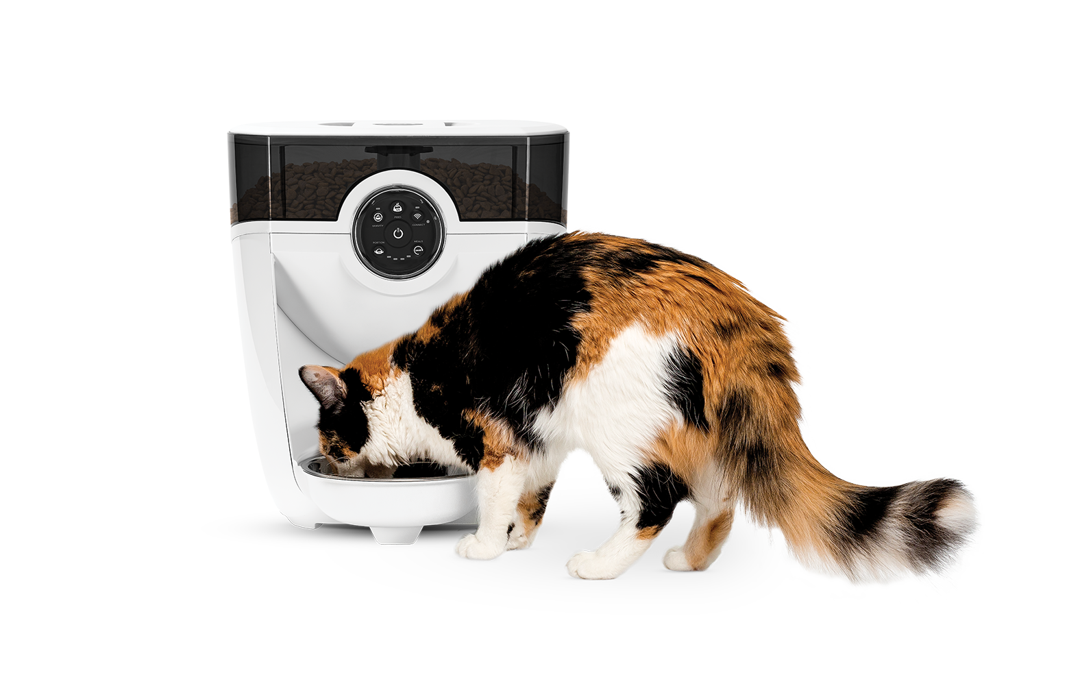 The Best Automatic Feeder for Cats and Small Dogs