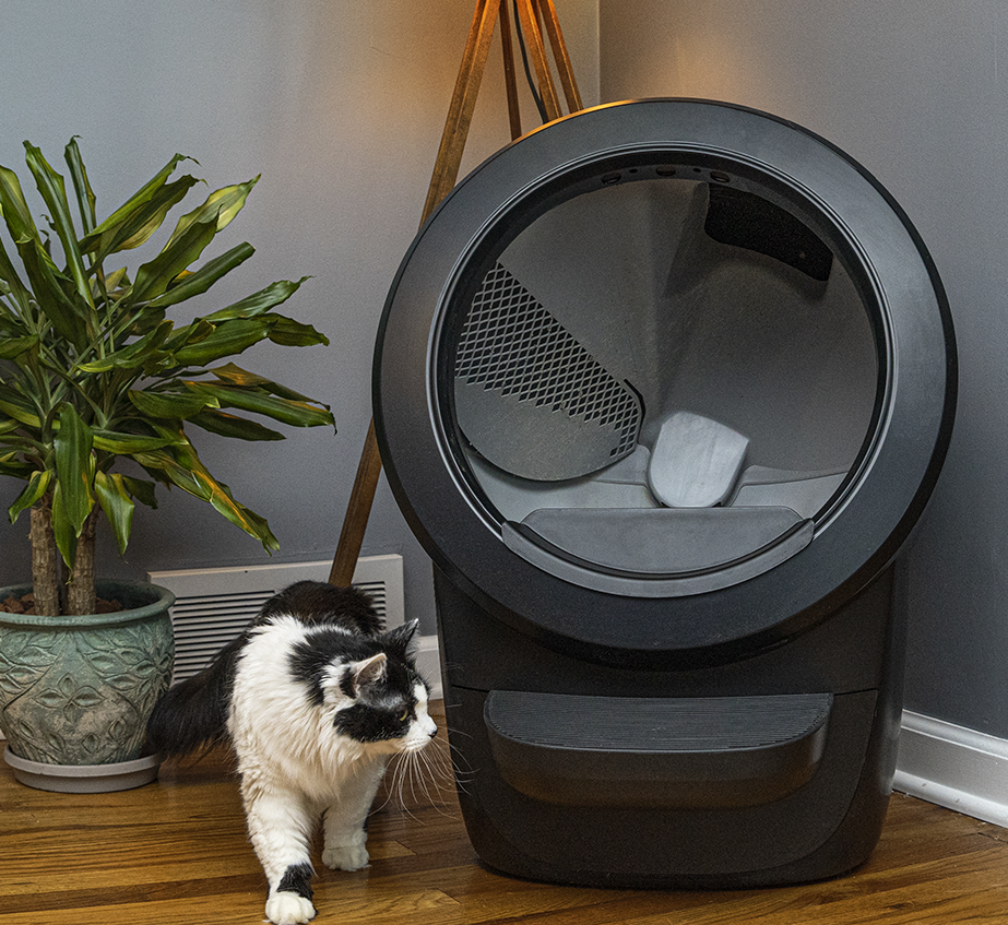 Why Is My Cat Pooping on the Floor? | Litter-Robot