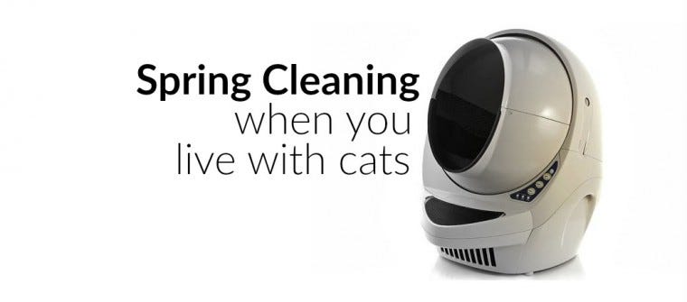 Spring Cleaning Your Cat's Litter Box
