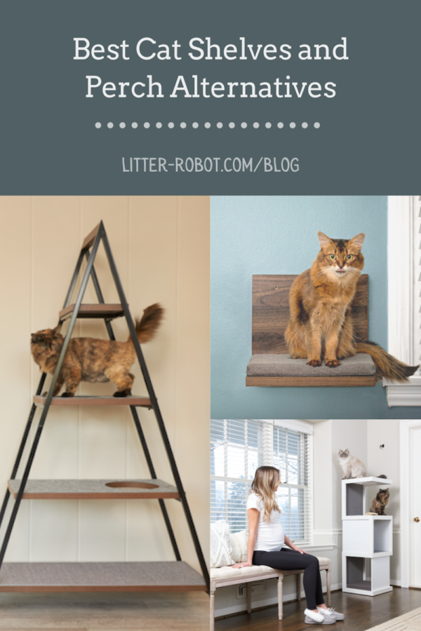 https://www.litter-robot.com/media/magefan_blog/2021/07/Best-Cat-Shelves-and-Perch-Alternatives-600x900.png
