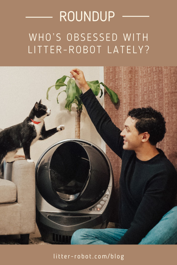 litter robot blog