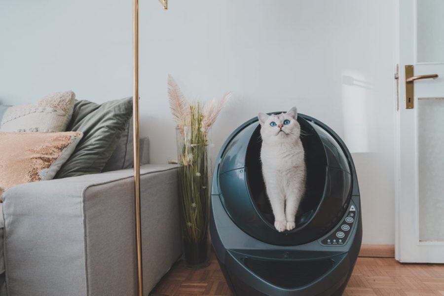 Litter-Robot 3 Connect Reviews - Is It The Best Litter Box?