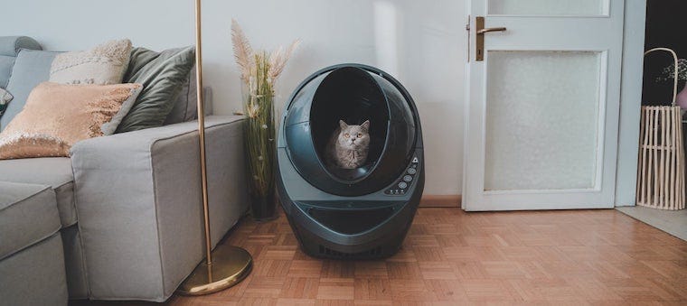 litter robot bed bath and beyond