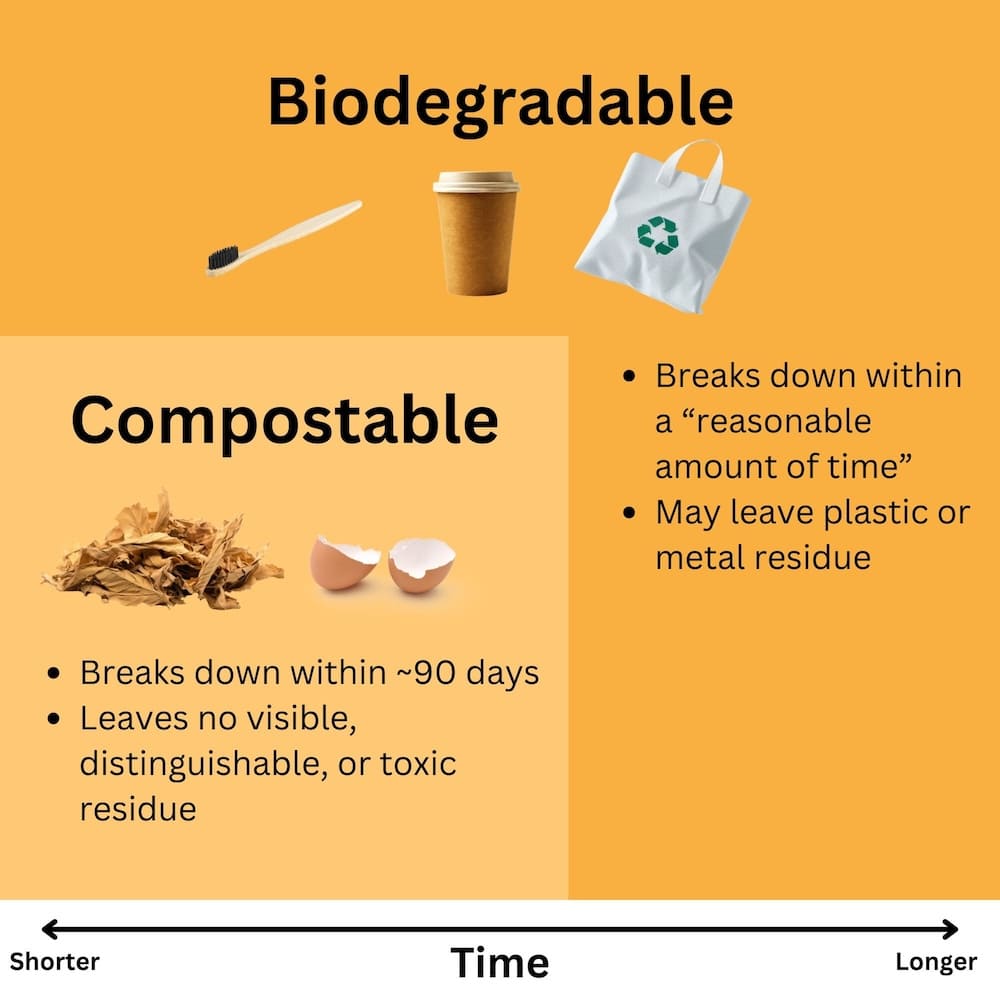 Is Cat Litter Biodegradable? - Cat Litter Disposal Tips