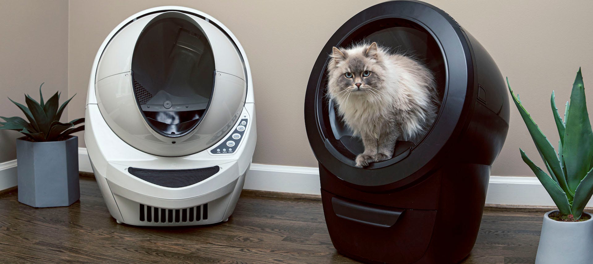 Litter Robot 4 Offline Www inf inet