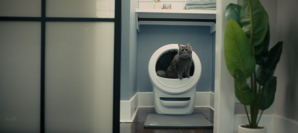 Cat keeps going in and out of litter outlet box