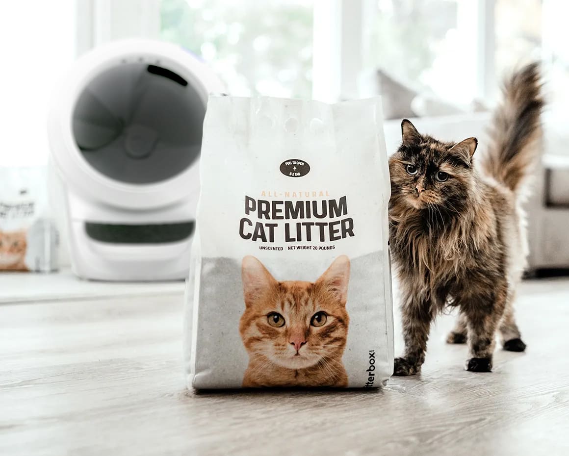 Is a Cat Litter Subscription Worth It? What You Need to Know