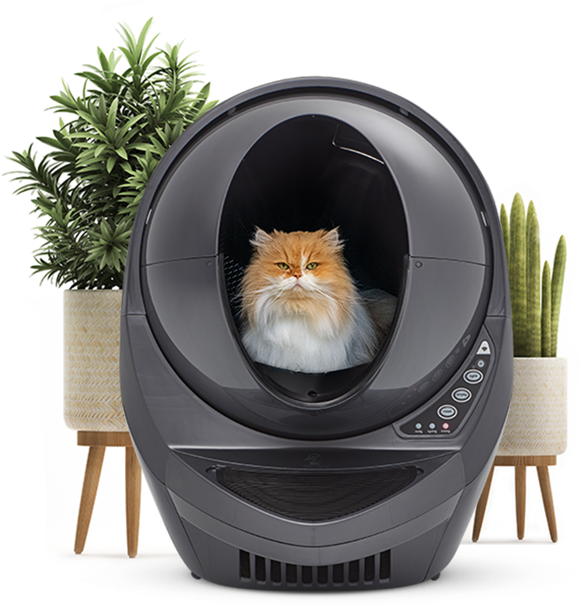 LitterRobot 3 Connect SelfCleaning, Smart Litter Box