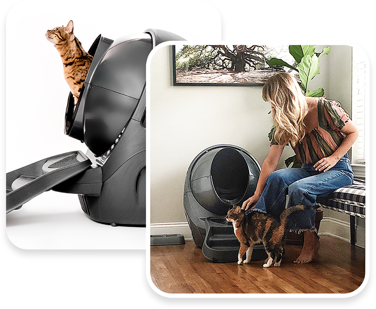 Litter Robot 3 Connect Self Cleaning Smart Litter Box