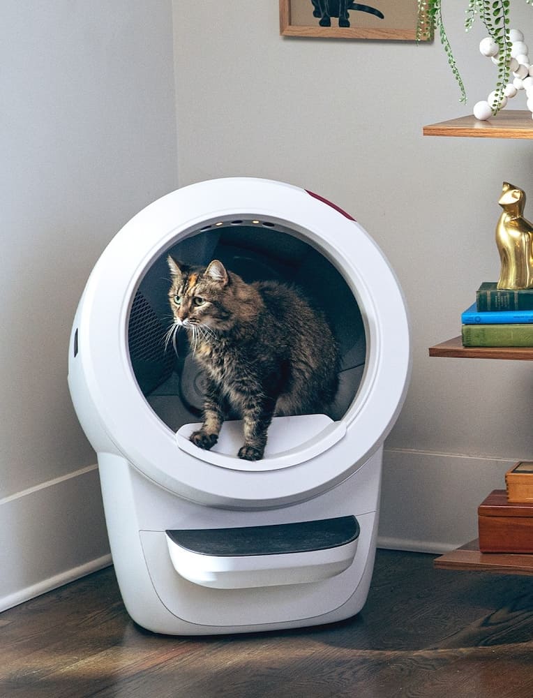 Cat exiting Litter-Robot 4